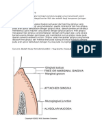 Struktur Anatomi Gingiva