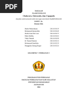 Download cladocera dlldocx by Mohammad Syarifudin SN311948008 doc pdf