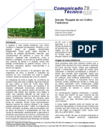 Araruta - Resgate de um cultivo tradicional.pdf