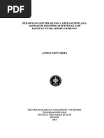 Download Displasia abomasum by AnnisaNintyarifa SN311951522 doc pdf