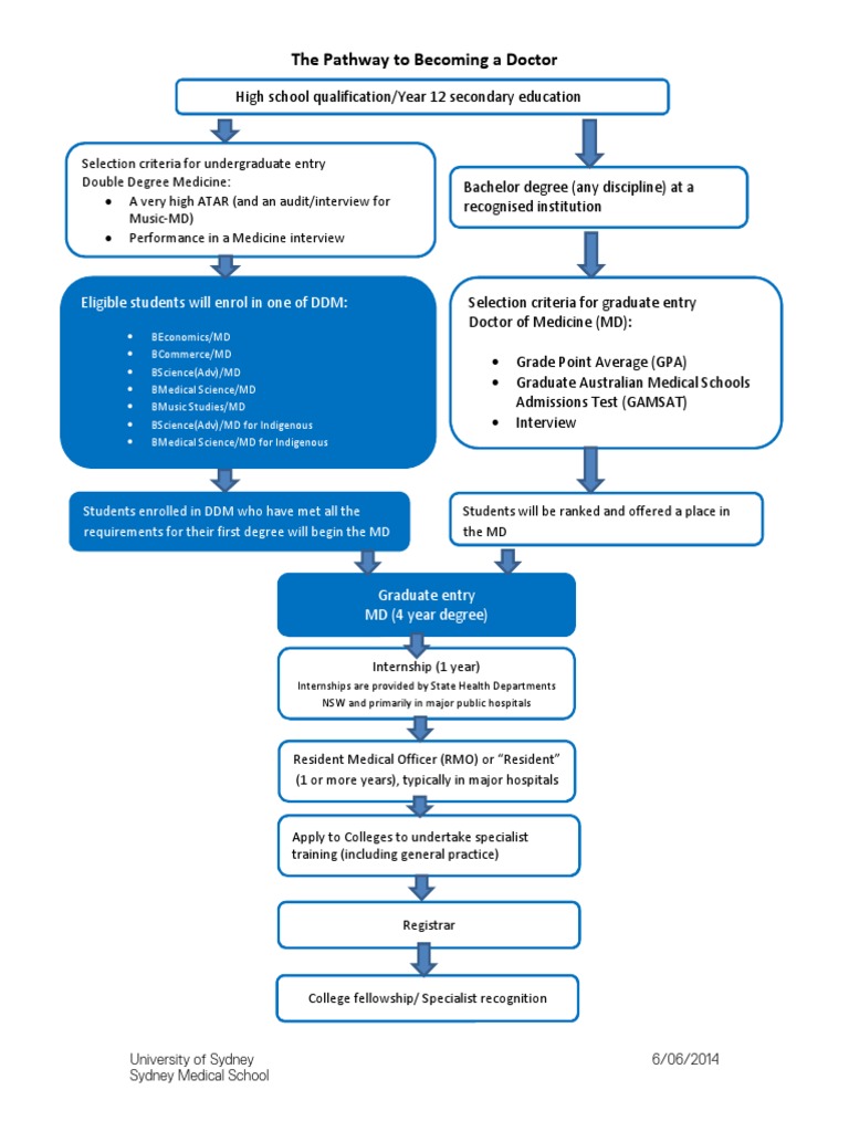 Pathway To Becoming A Doctor | PDF