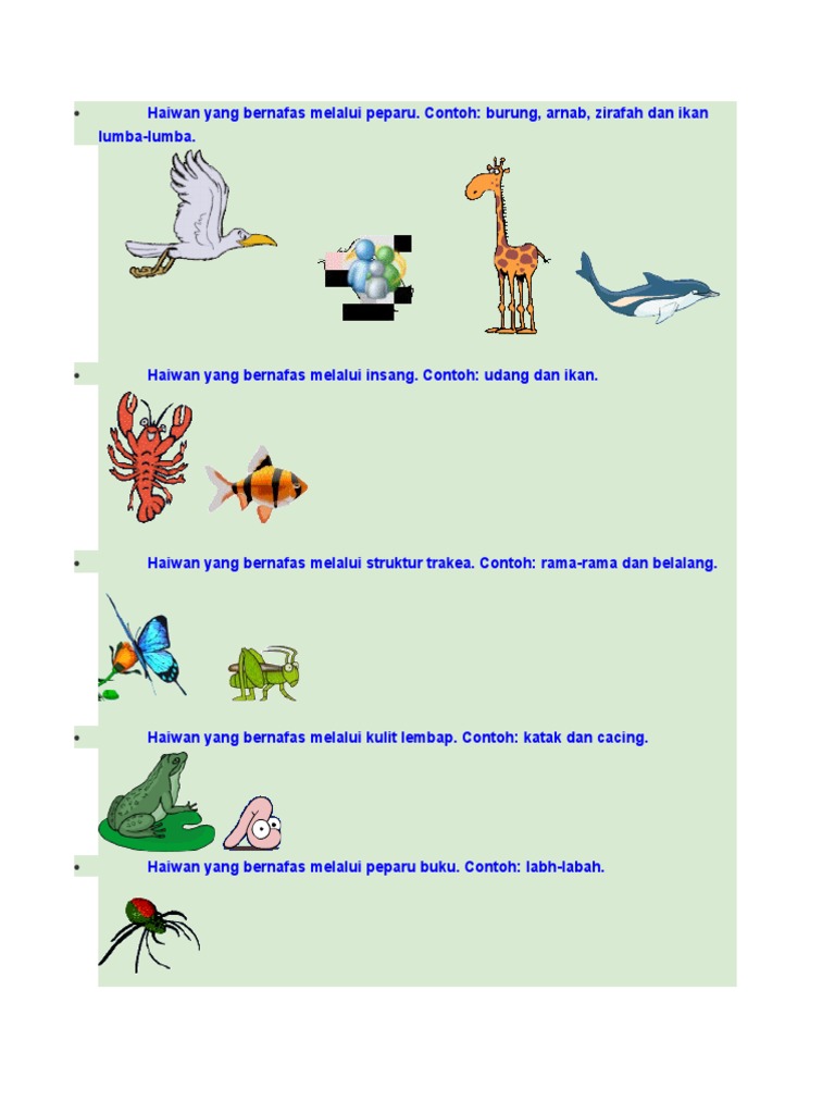Haiwan Yang Bernafas Melalui Peparu Pdf