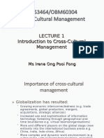 Introduction To Cross-Cultural Management