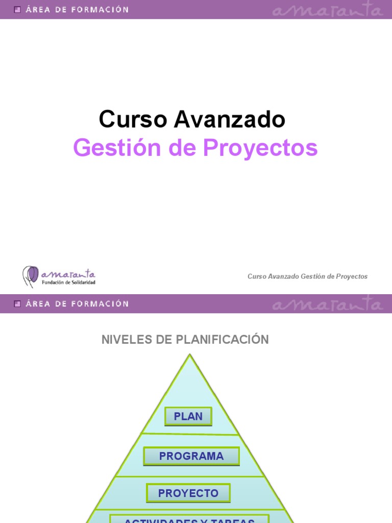 Matriz de Planificación de Proyectos | PDF | Presupuesto | Gestión de ...