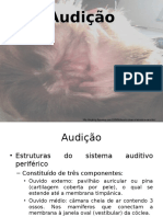 Audicao Animal