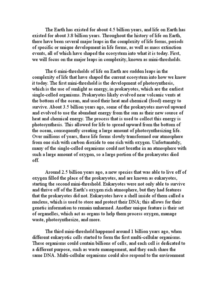 History essay paragraph structure image