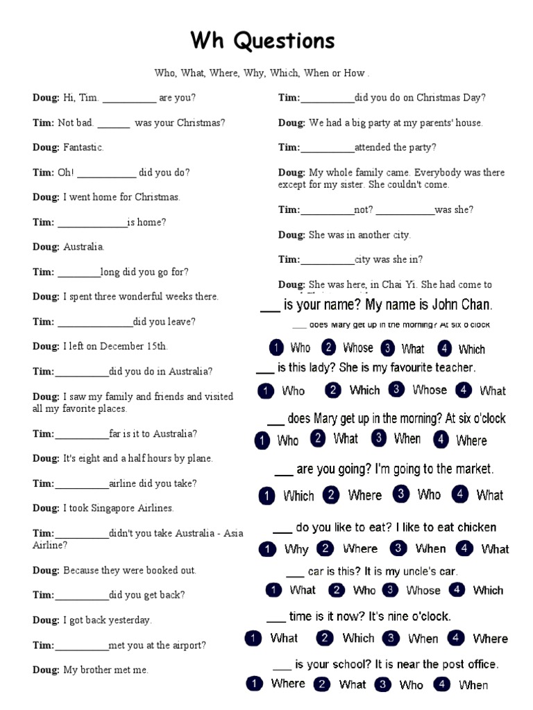 WH Questions: Who, What, Where, Why, Which, When or How | PDF