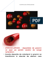 Lipide II Fiziopatologia Aterosclerozei