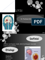 Ensefalitis PPT