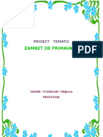 Proiect Tematic Primavara Grad II