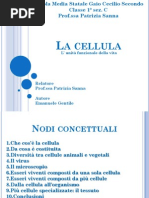 S4 S5 S6 S7 Invito Alla Biologia Glossario Cell