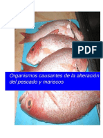 Descomposición en Pescados