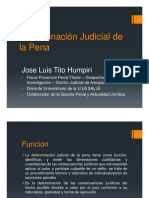 4067_determinaciondelapena.pdf