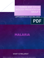 Human and Social Biology - Presentation on Malaria and Leptospirosis