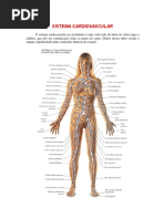 SISTEMA CARDIOVASCULAR.doc