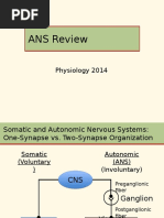 ANS Review(3)