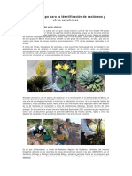 5 Guía de campo para identificación de cactáceas.pdf
