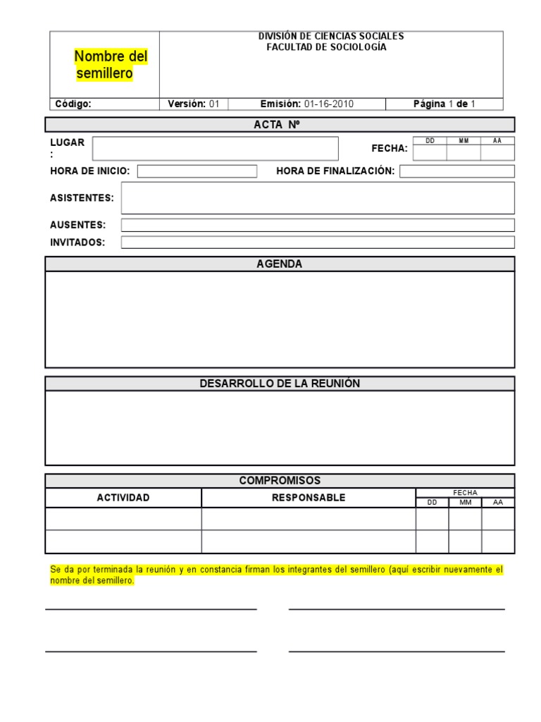 Formato Acta de Reuniones