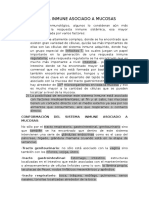 Sistema inmune asociado a mucosas: funciones y regulación