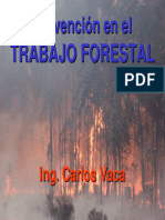 Prevencion en El Trabajo Forestal