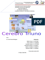 Trabajo Cerebro Triuno Final