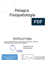 Pelagra Fisiopatologia