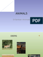 Animals