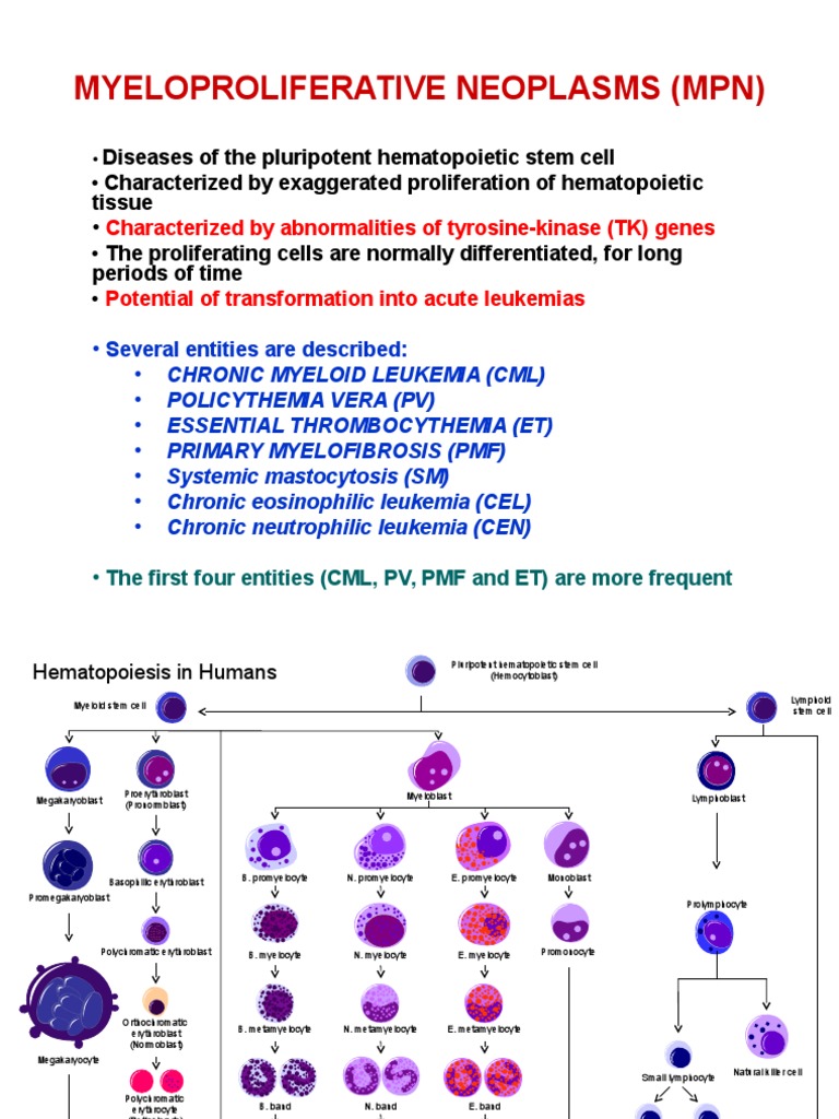 Overview of Myeloproliferative Neoplasms | PDF | Hematology | Blood