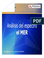 Analisis del MER.pdf