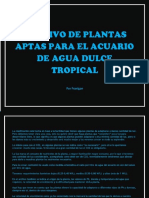 plantas acuaticas