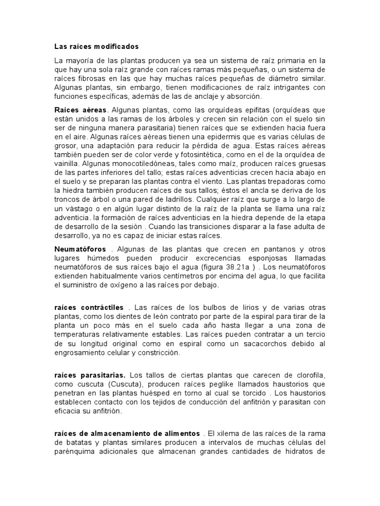 Raíces Modificadas en Plantas | PDF | Tallo de la planta | Raíz