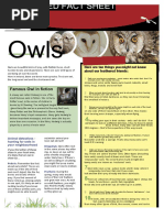 Owl Facts