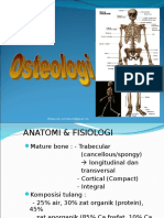 Osteologi Put