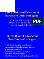 Real-Time PCR and Diagnosis of Plant Bacterial Disease