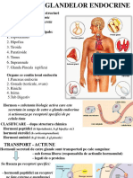 Curs Endocrin