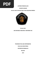 Download Laporan Pendahuluan Kanker Ovarium by dinamukmilahmaharika SN312147307 doc pdf