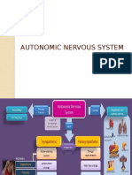 Autonomic Nervous System