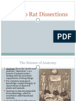intro to rat dissections