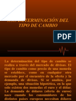 Determinacion Del Tipo de Cambio