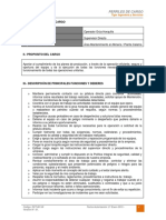 Dct-001.in Perfil de Cargo Operador Grua Horquilla PDF