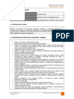 Dct-001.in Perfil de Cargo Soldador-Manlift PDF