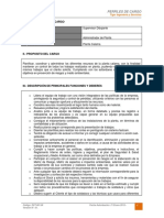 Dct-001.in Perfil de Cargo Supervisor Dibujante PDF