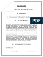 fase 21.docx