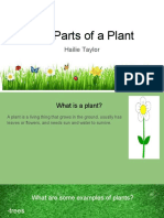Plant Powerpoint