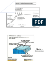 Partículas Sedimentarias - Apoyo