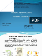 SISTEMAS REPRODUCTOR Y NERVIOSO ANIMAL