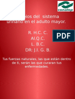 Cambios Del Sistema Urinario en El Adulto Mayor.