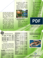 Leaflet Budidaya Ikan Lele Teknologi Bioflok.pdf