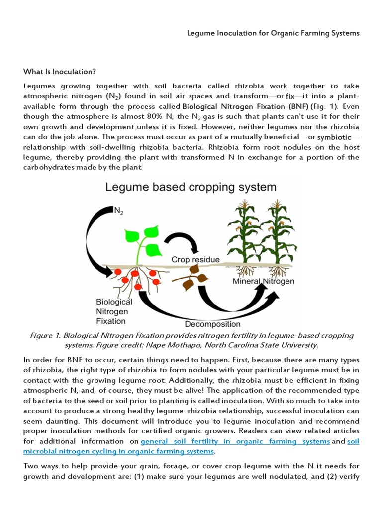 Inoculation | PDF | Legume | Horticulture And Gardening