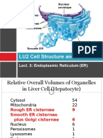 LU2 Cell Structure and Function: Lect. 3: Endoplasmic Reticulum (ER)